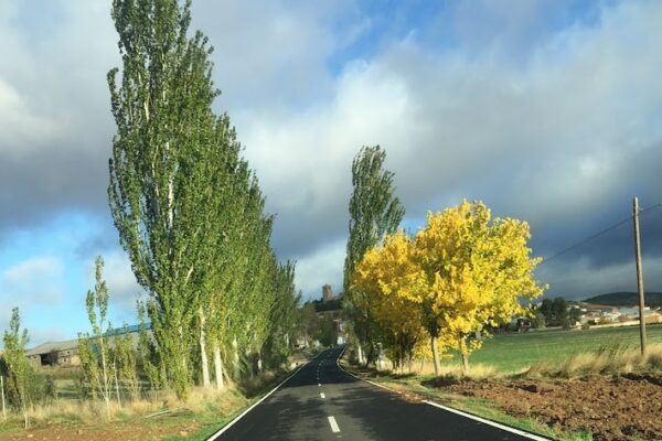 Albaladejo del Cuende