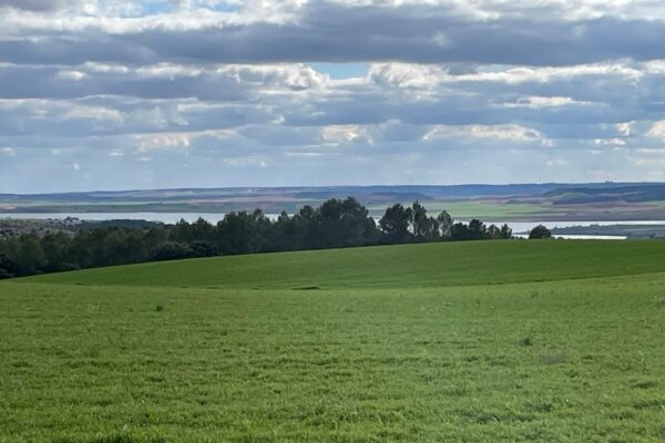 Albaladejo del Cuende