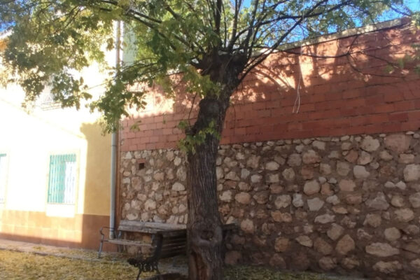 Albaladejo del Cuende