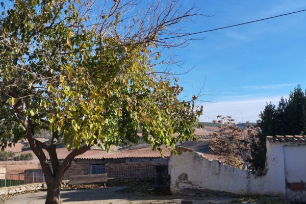 Albaladejo del Cuende