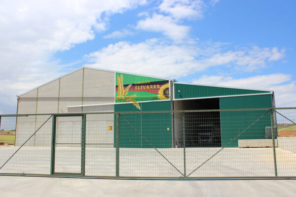 cerealesolivares-albaladejodelcuende